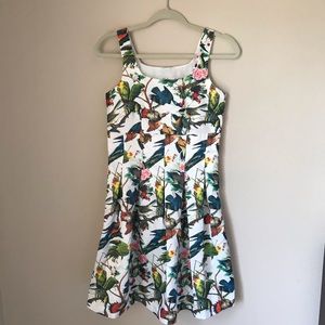 Darling London Exotic Birds Dress size 6